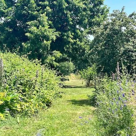 Lägenhet Cosy Au Coeur D'un Domaine Viticole Cursan