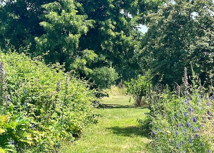 Apartment Entre Vignes Et Foret Avec Vue Sur La Vallee *