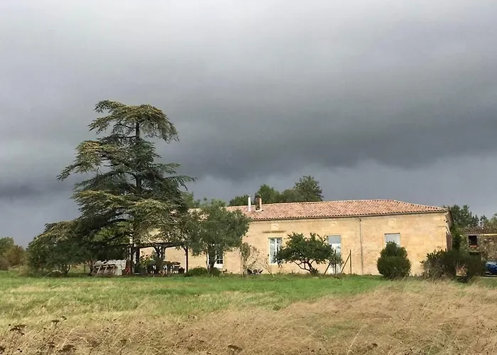 Entre Vignes Et Foret Avec Vue Sur La Vallee Cursan